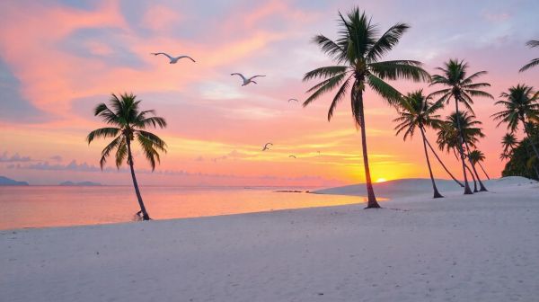 Top raisons de sélectionner Koh Samui pour des vacances de rêve